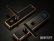 指紋鎖能否取代傳統(tǒng)機(jī)械鎖