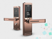 智能鎖將會在未來成為家庭安防標配
