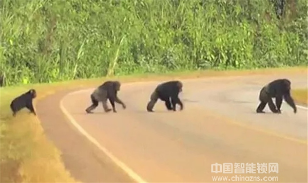 3960億市場蛋糕來臨，智能鎖經銷商該如何分享？