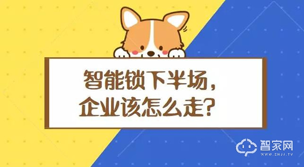 智能門鎖大熱的冷思考：智能鎖行業(yè)2019年該怎么走？