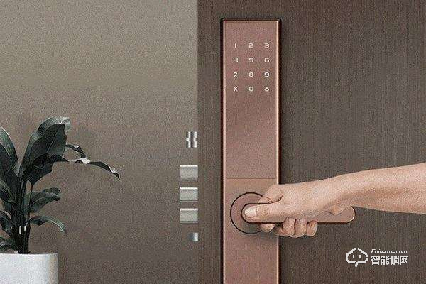 隨著智能家居概念的引入 智能鎖以網紅之勢快速崛起