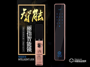 麗指指紋鎖怎么樣 麗指指紋鎖價格如何