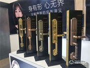 黑龍指紋鎖怎么樣 黑龍指紋鎖產品特點