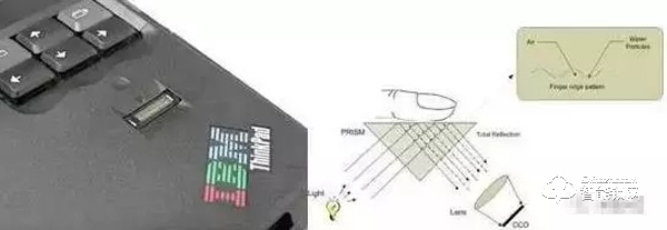 指紋識別技術的主要種類有哪些？
