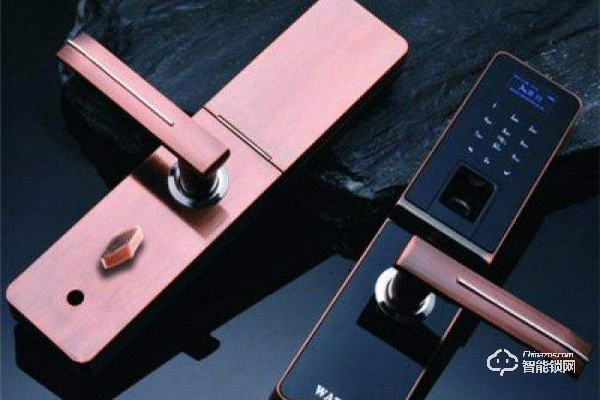 電動(dòng)大門智能鎖價(jià)格 電動(dòng)大門智能鎖價(jià)格介紹