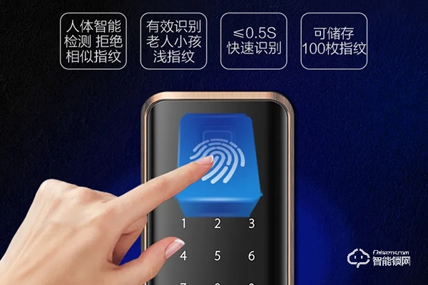 大華樂橙智能鎖排名