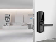 2020年,一批企業被淘汰出局,但也有一批行業領頭者浮現