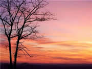 云米智能家居：專注于智能家電研發、制造