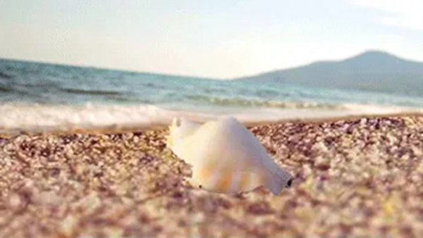 諾托新品SEA系列執手重磅上市！