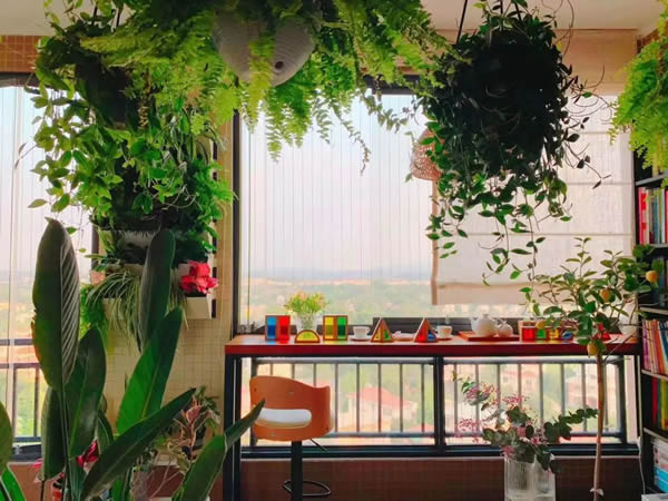 好太太智能家居:別讓日常的鎖碎阻擋了前路 好太太智能家居:別讓日常的鎖碎阻擋了前路