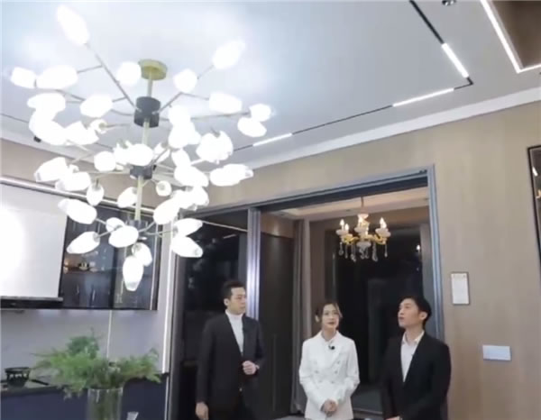 BSPH智能家居丨一場(chǎng)點(diǎn)亮冬日夜晚的發(fā)布會(huì)