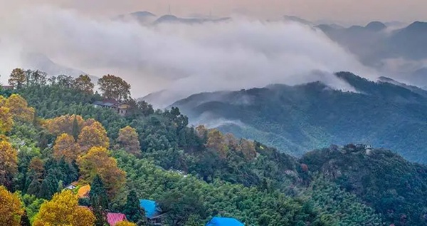 河東智能家居：VISAYA意境酒店，當桃花源遇見了智能控制