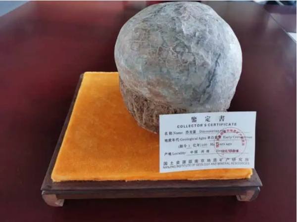 UIOT超級智慧家獲贈恐龍蛋一枚