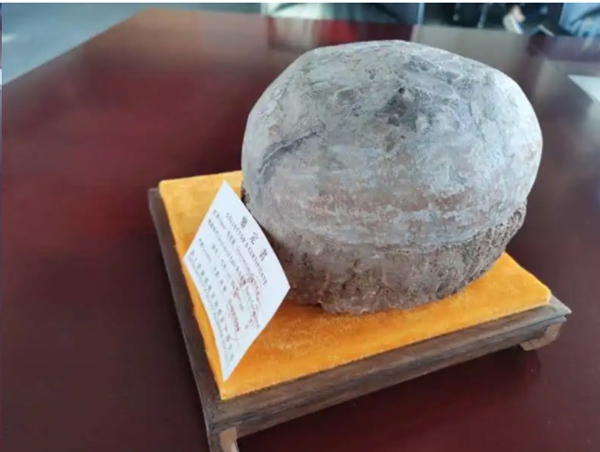 UIOT超級智慧家獲贈恐龍蛋一枚