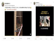 飛利浦智能鎖:寵物獨(dú)自開(kāi)門存在的安全隱患