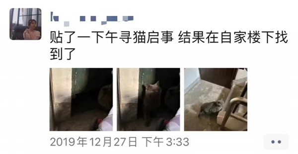 青松沃德：我們的2019年末崩潰情況報告