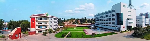 三環(huán)鎖業(yè)上榜全國制造業(yè)單項冠軍示范企業(yè)（第四批）名單