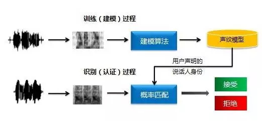 頂吉智能鎖為您解析六種常見的生物識別技術