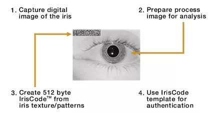 頂吉智能鎖為您解析六種常見的生物識別技術