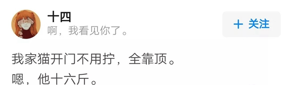 VOC智能鎖告訴你 家里寵物偷偷開門要怎么辦