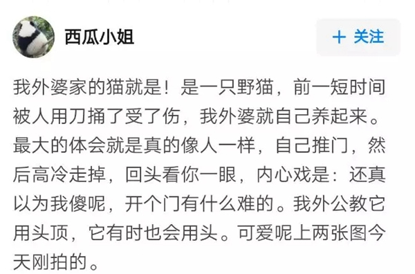 VOC智能鎖告訴你 家里寵物偷偷開門要怎么辦