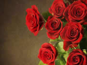 皇迪智能鎖為消費者帶來更便捷多樣的生活體驗