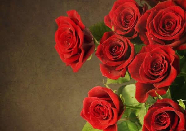 浪漫七夕，送花有些俗了，咱們不如送個(gè)指紋鎖