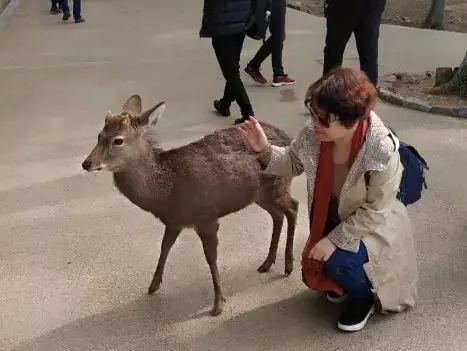 美菱公司2018年度先進個人日本之旅圓滿結束