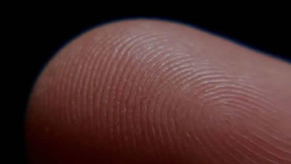 指紋鎖可以錄入多少指紋？當指紋打不開鎖時，你可以這么做