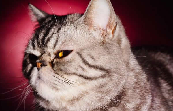 人家已經用了一年多的指紋鎖了，而你還在質疑它？