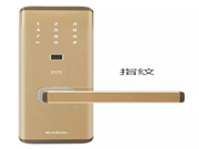 中控智能鎖：智能鎖有哪些種類