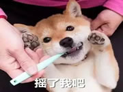 中控智能鎖:提升幸福感的家居物品都有什么