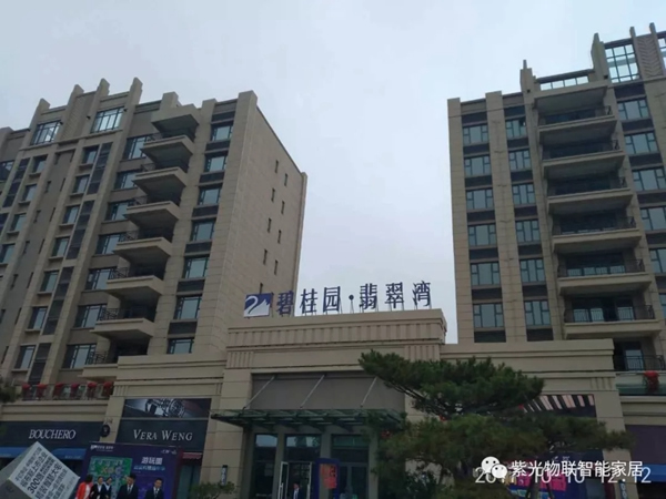 紫光物聯智能家居與碧桂園強強聯手，業界高端智慧地產項目即將落地