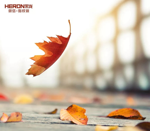 智能鎖經銷商大調查|HERON黑龍智能鎖公司團建，與你相約九八