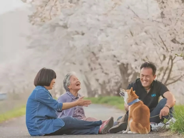 凱迪仕智能鎖為你守護家的溫馨