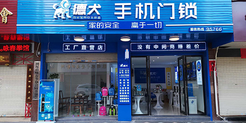 德犬體驗店成功案例：年輕人創(chuàng)業(yè)選擇比努力更重要！