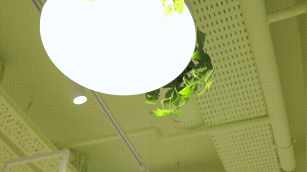 河東智能家居：這是一封來自白俄羅斯的郵件