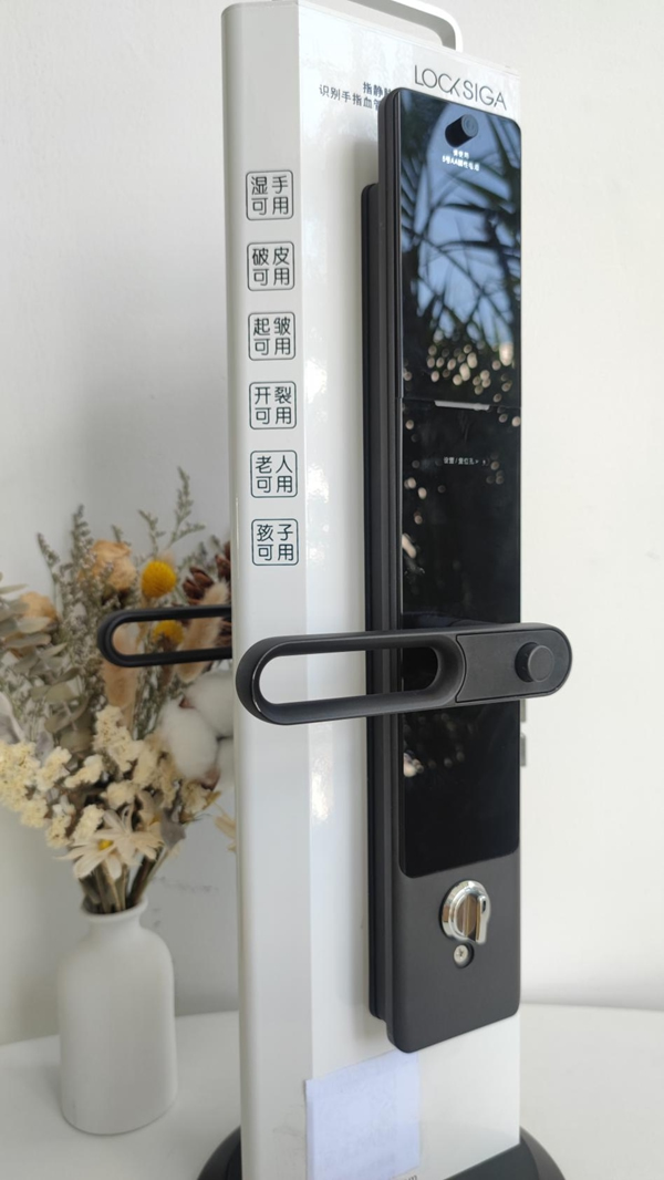 拔草|老人小孩都好用的智能鎖：LOCKSIGA洛克思格A1測評