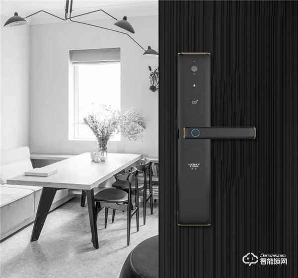 今年年貨買什么？孝順父母就選王力遙感智能鎖