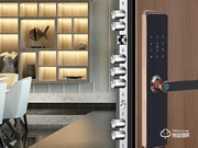 德施曼云智能鎖:引領行業(yè)未來發(fā)展新態(tài)勢