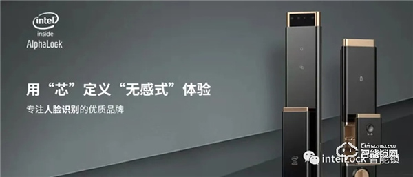 英特爾||回首2021的沉淀，2022年我們一起玩把大的