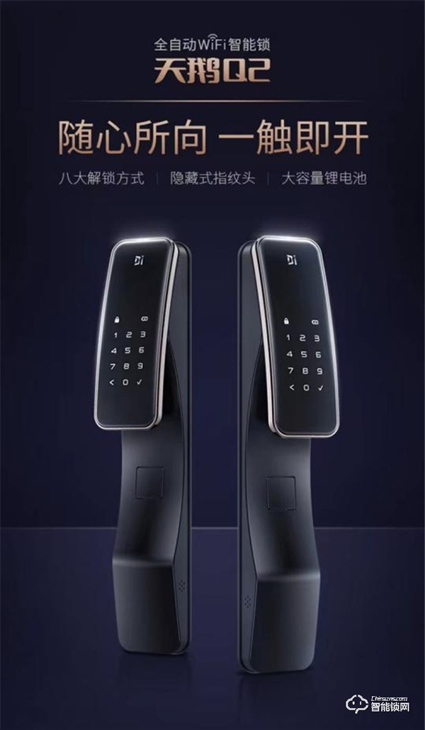 門戶安全領航者——德施曼智能鎖 門戶安全領航者——德施曼智能鎖