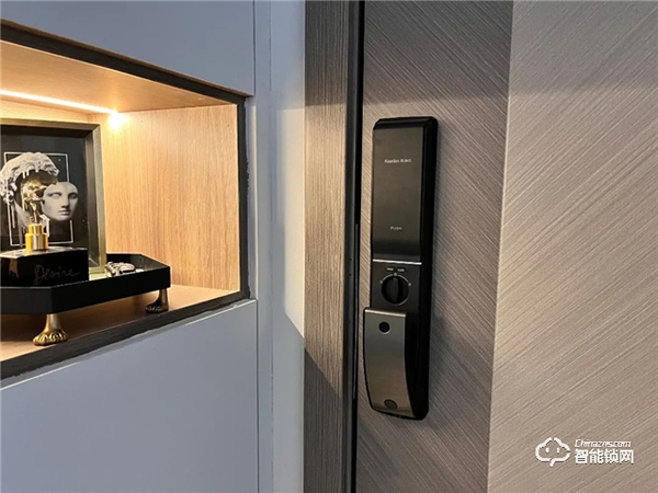 凱迪仕智能鎖擁有專屬“千里眼”，有了它，24h家門安全隨時看得見~