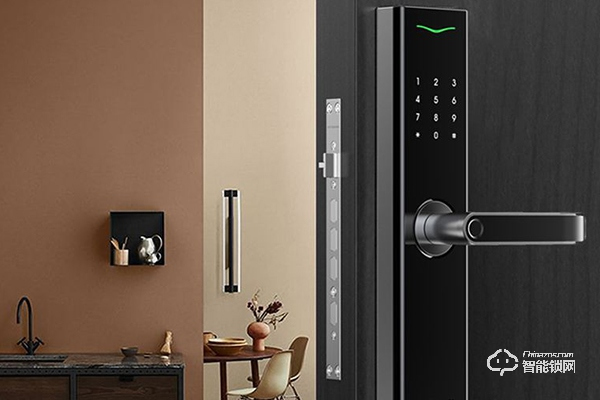 小米智能鎖和德施曼智能鎖哪個好 小米智能鎖和德施曼智能鎖哪個好