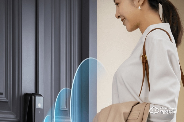 麗水德施曼智能鎖加盟代理 麗水德施曼智能鎖加盟代理