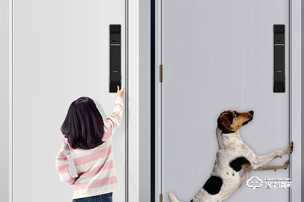 艾西智能鎖代理怎么樣 艾西智能鎖代理怎么樣