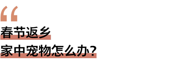 春節(jié)返鄉(xiāng)家門安全誰來顧?這題交給飛利浦智能鎖 春節(jié)返鄉(xiāng)家門安全誰來顧?這題交給飛利浦智能鎖