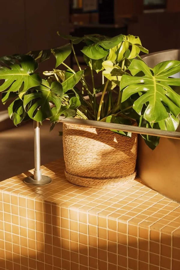 控客全屋智能案例分享|以智慧燈光點燃CBD餐廳溫情_5