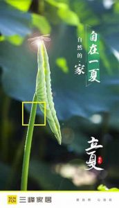 三峰木門立夏節氣圖