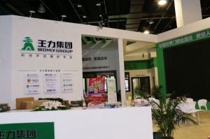 王力集團(tuán)